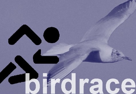 Birdrace logo